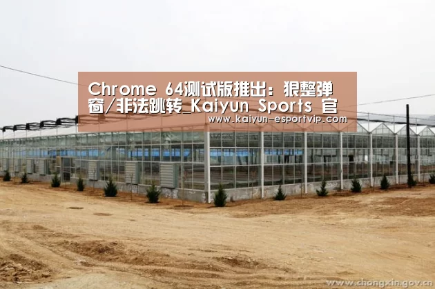 Chrome 64测试版推出:狠整弹窗/非法跳转_Kaiyun Sports 官网(图3) 开云电子