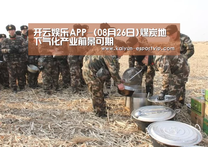 开云体育登录入口