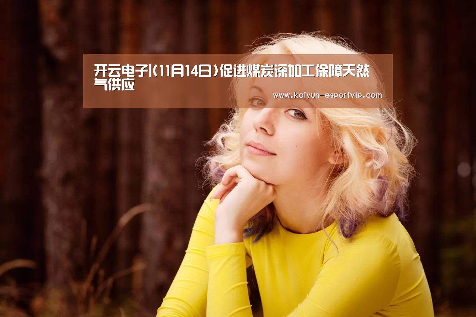 开云电子|(11月14日)促进煤炭深加工保障天然气供应(图2) Kaiyun Sports 官网